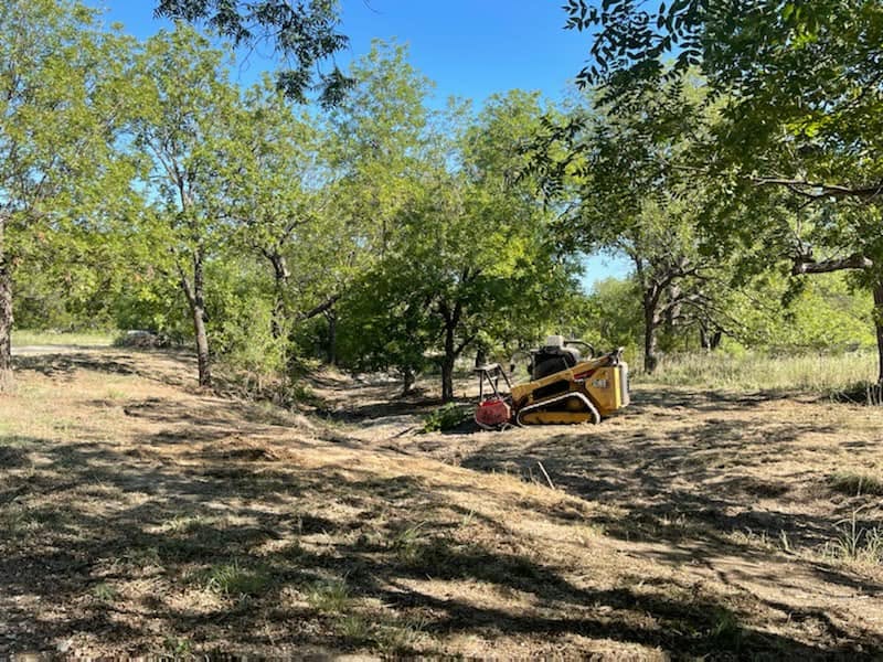 Underbrush & Cedar Mulching