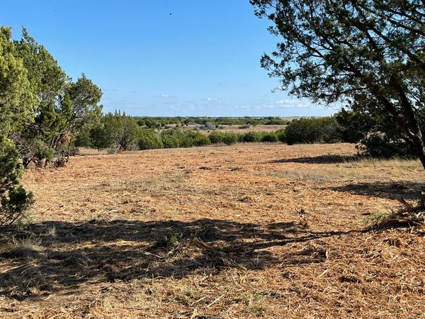 Eco-Friendly Land Restoration